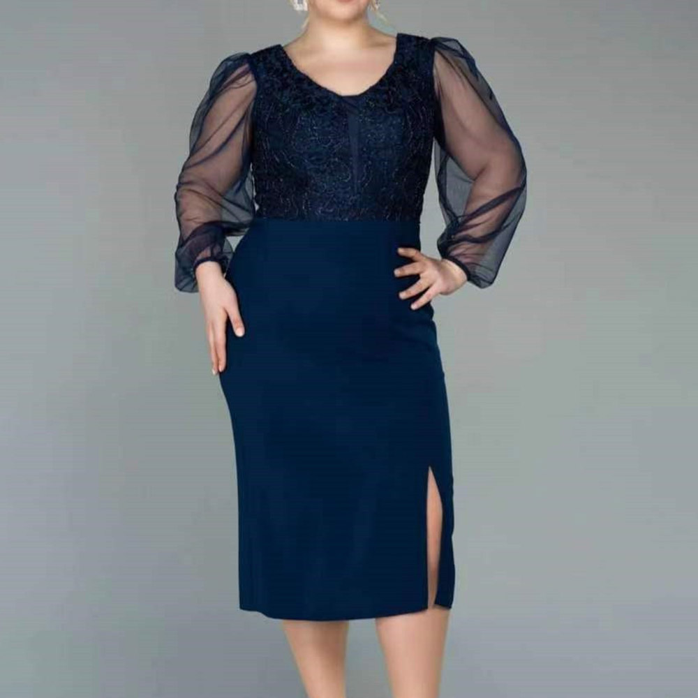 Scoop Column Long Sleeves Tea-Length Celebrity Dress 2022