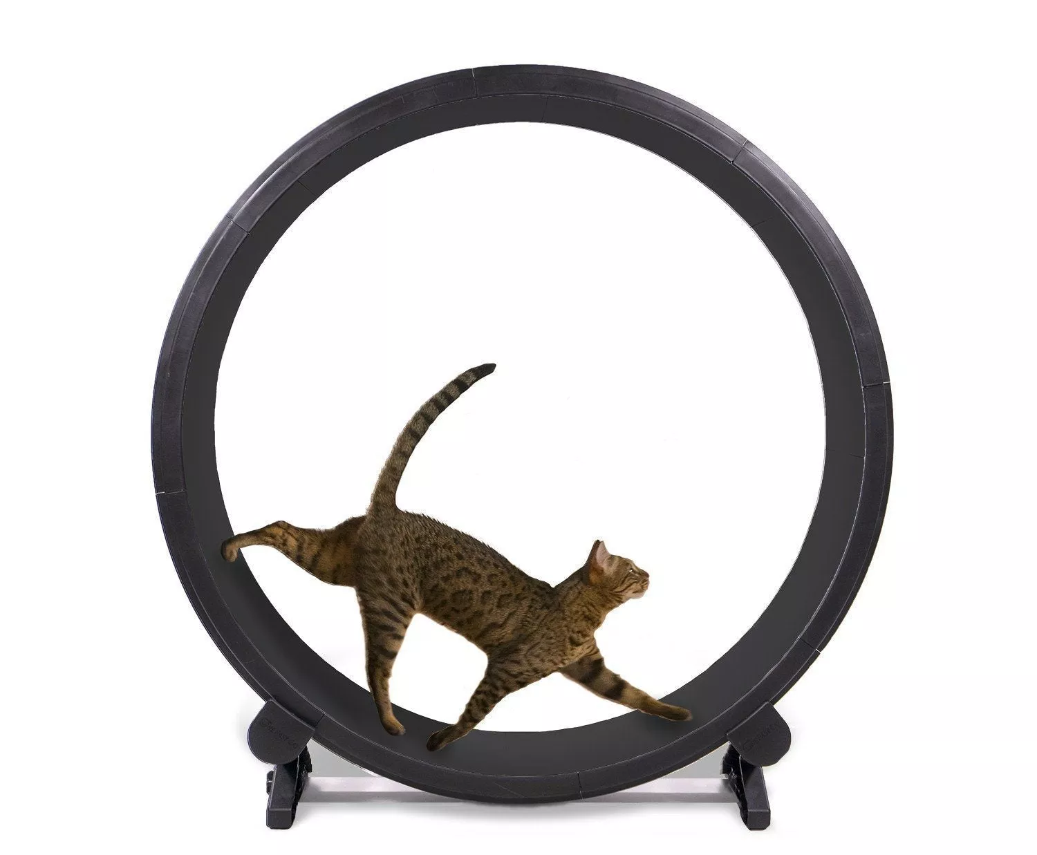 One Fast Cat Exercise Wheel 48" Cat treadmill Running Wheel