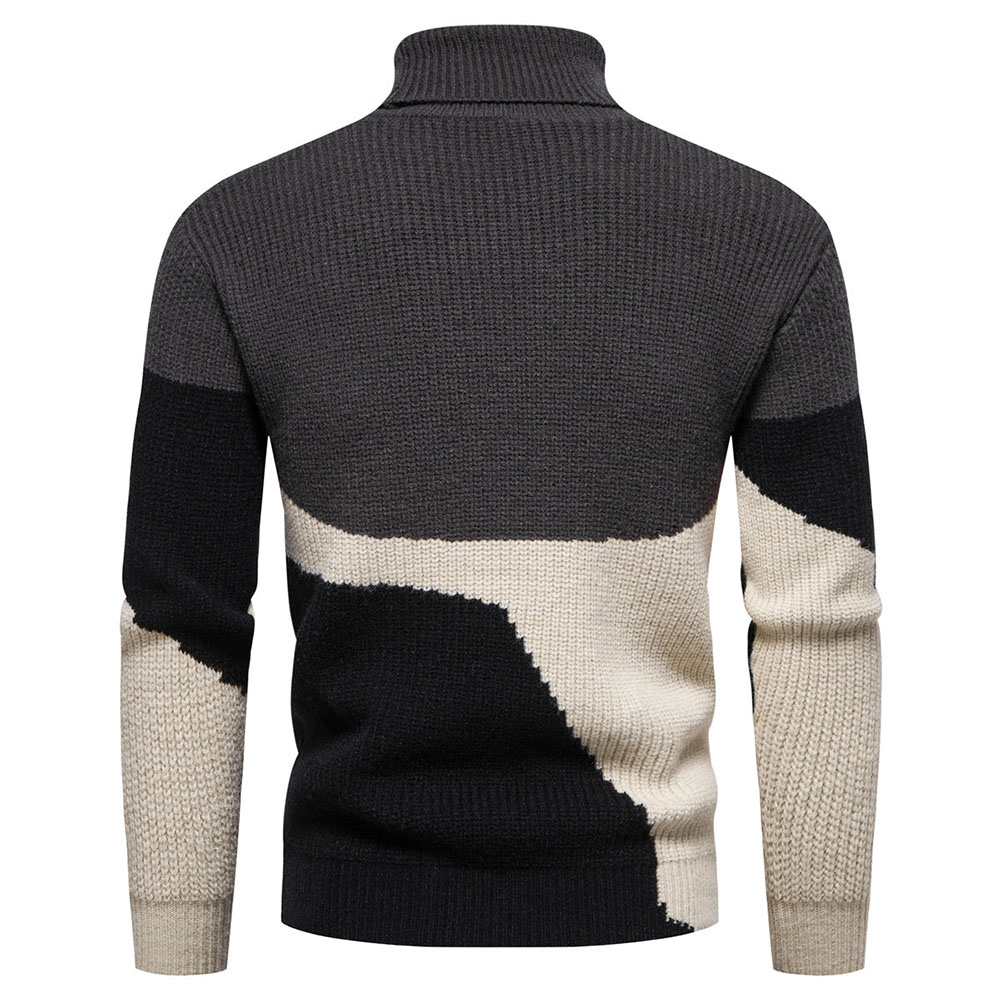 Color Block Patchwork Turtleneck Standard Slim Men's Sweater