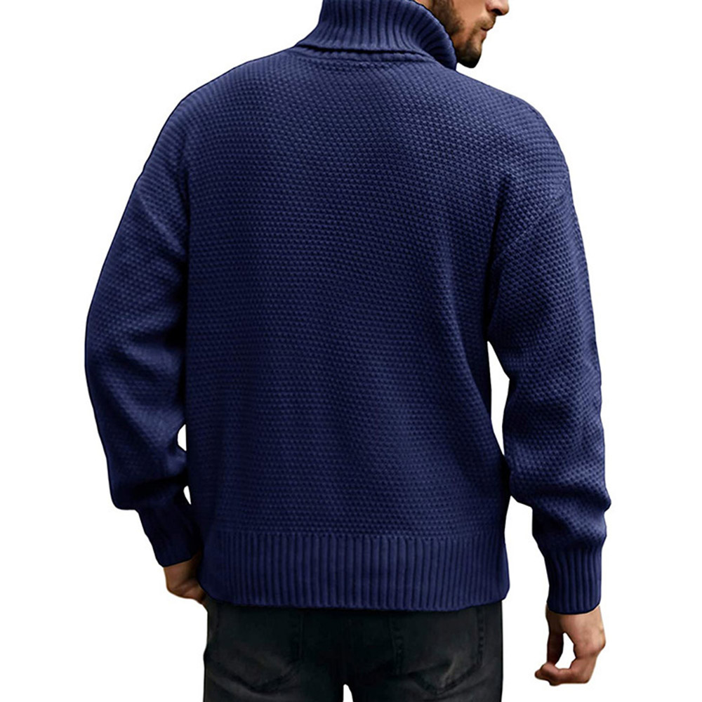 Plain Standard Turtleneck Casual Men's Sweater