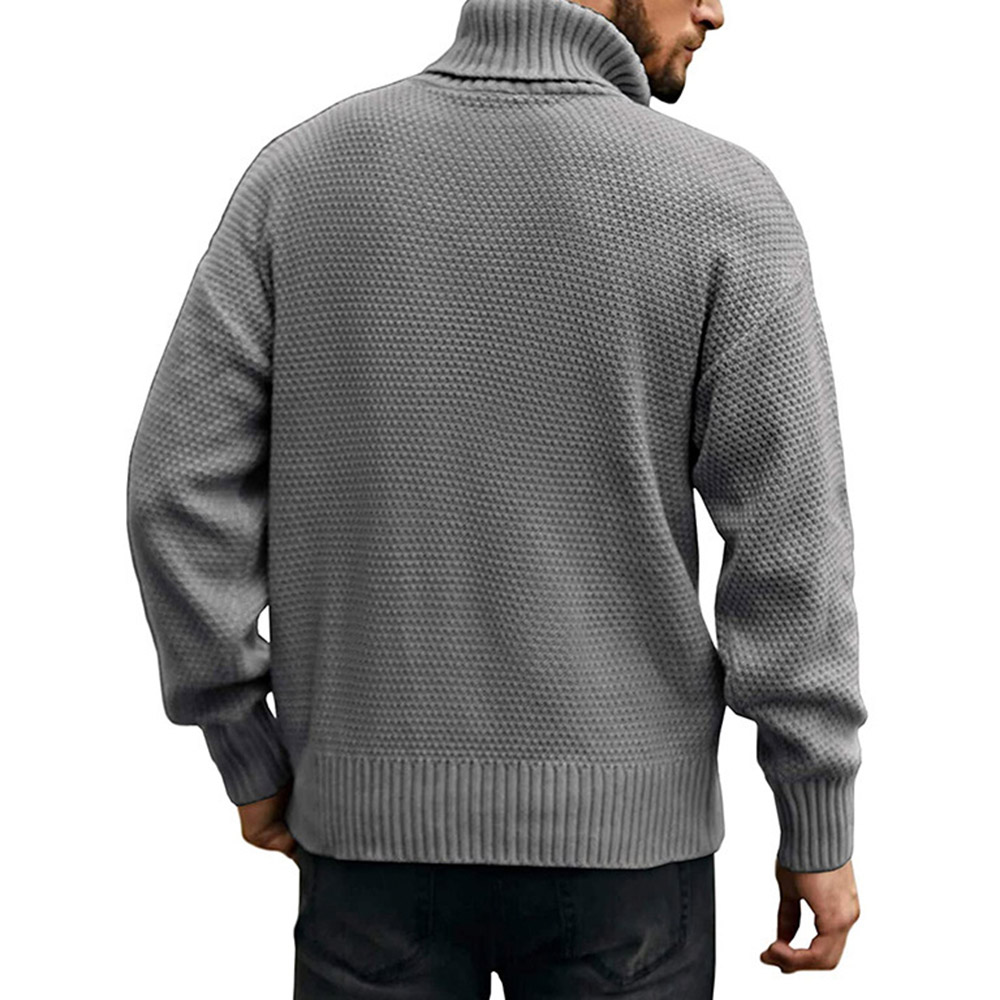 Plain Standard Turtleneck Casual Men's Sweater