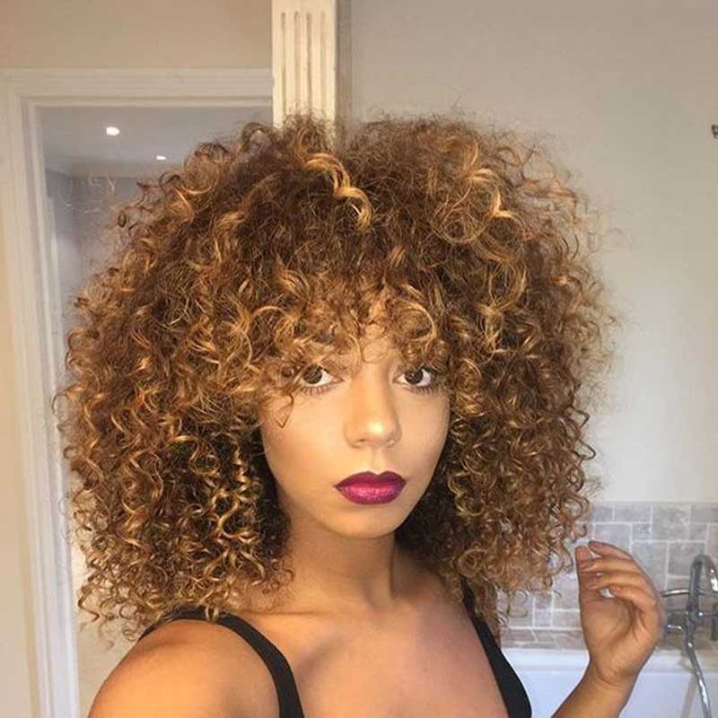 African American Afro Curly Synthetic Hair Women Wig 14 Inches