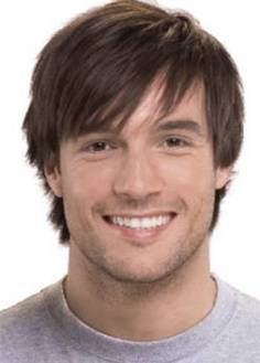 Men's Wig Short Straight Synthetic Hair Capless