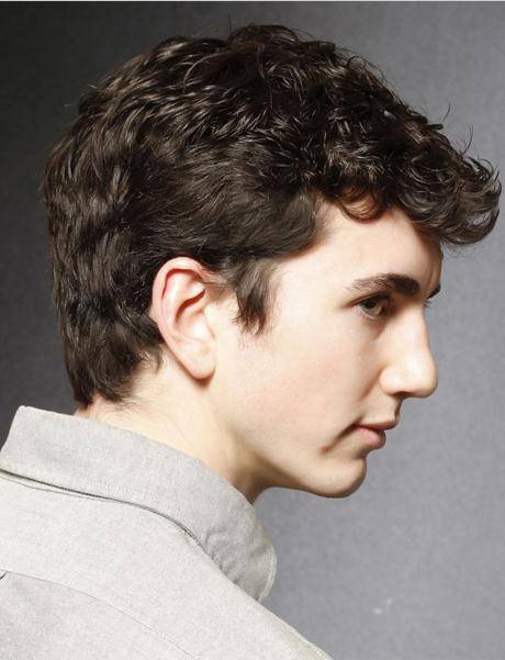 Top Quality Handsome Short Curly Full Lace Wig Mens Hairstyle 100% Human Hair