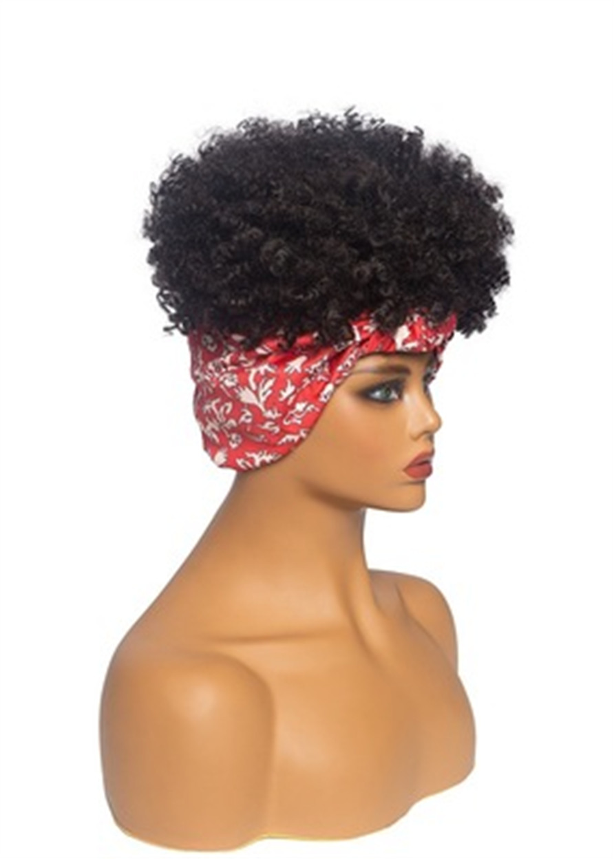 Short Headbang Wig Afro Curly Synthetic Hair African American Wig
