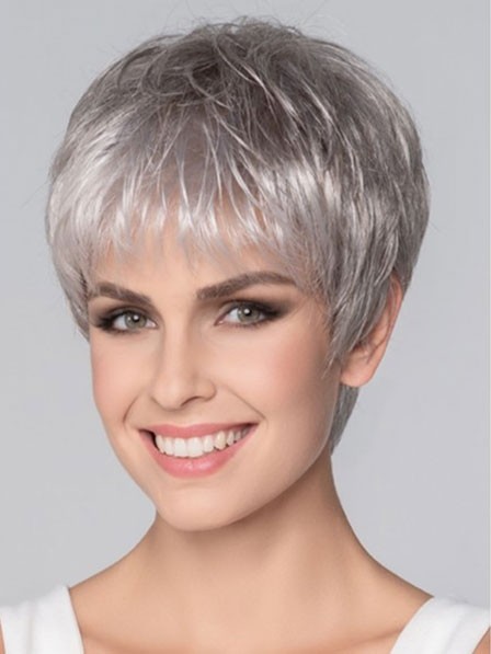 Straight Cropped Capless Synthetic Hair Wigs - Grey