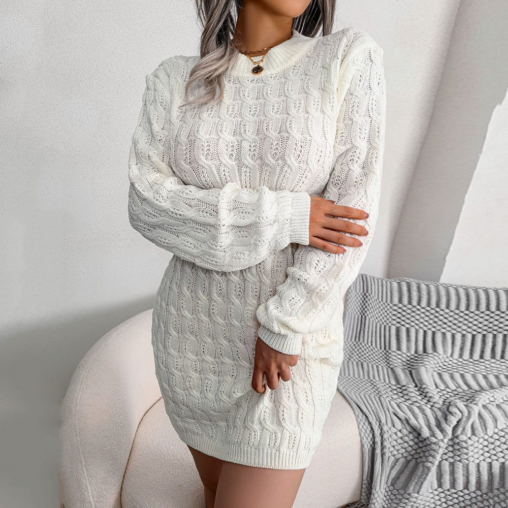 Above Knee Round Neck Long Sleeve Pullover Women's Dress
