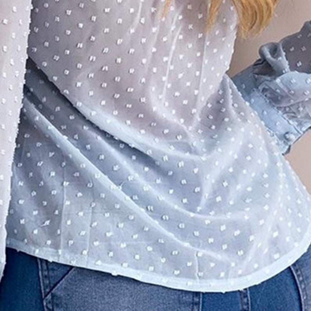 Regular V-Neck Polka Dots See-Through Long Sleeve Women's Blouse