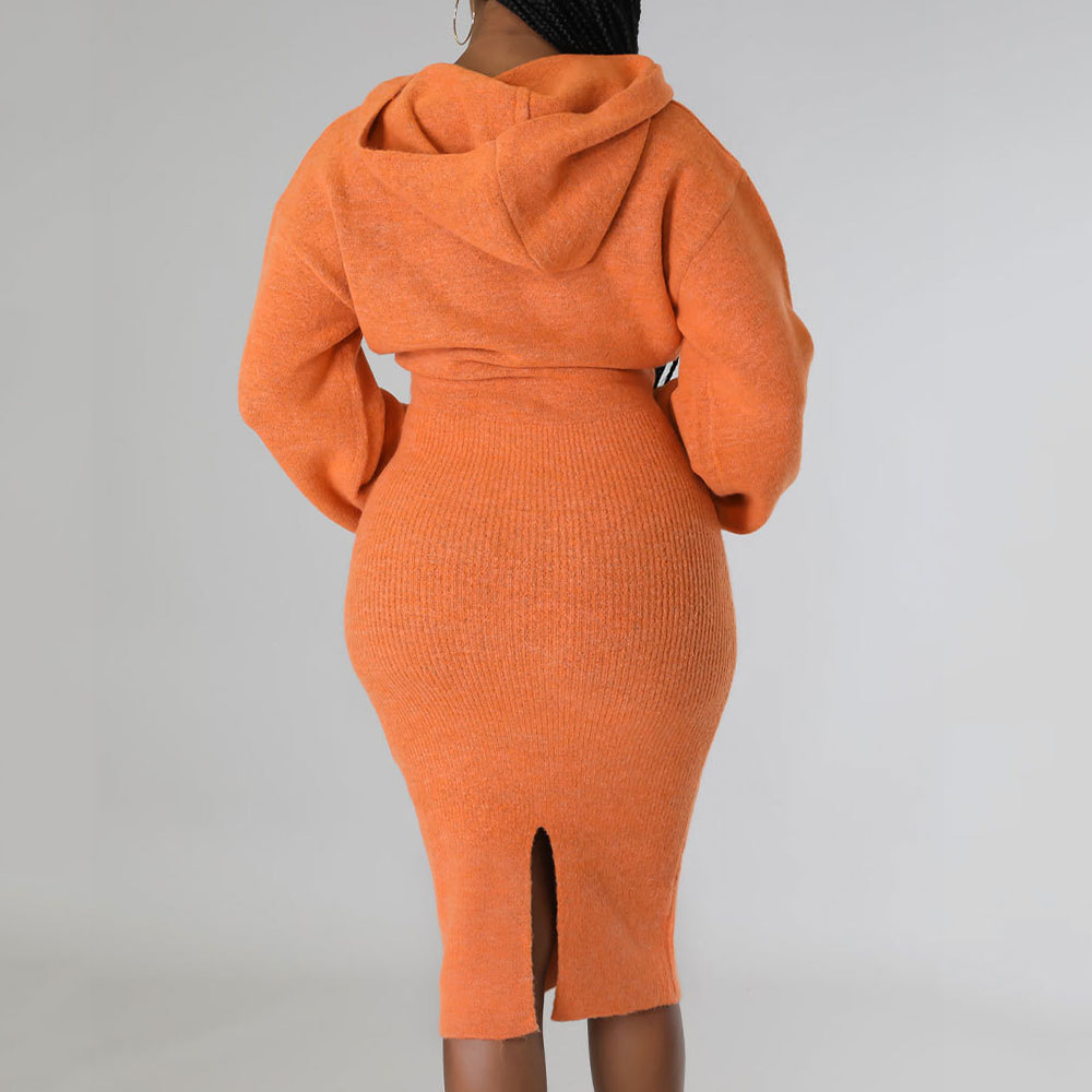 Long Sleeve Knee-Length Hooded Winter Women's Dress