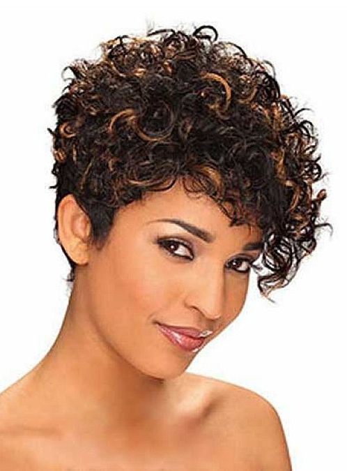 Short Kinky Curly Human Hair Capless Women 120% 10 Inches Wigs
