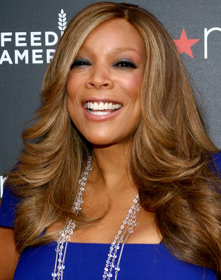 Hot Sale Graceful Wendy Williams Hairstyle 20 Inches 100% Human Hair Lace Wig