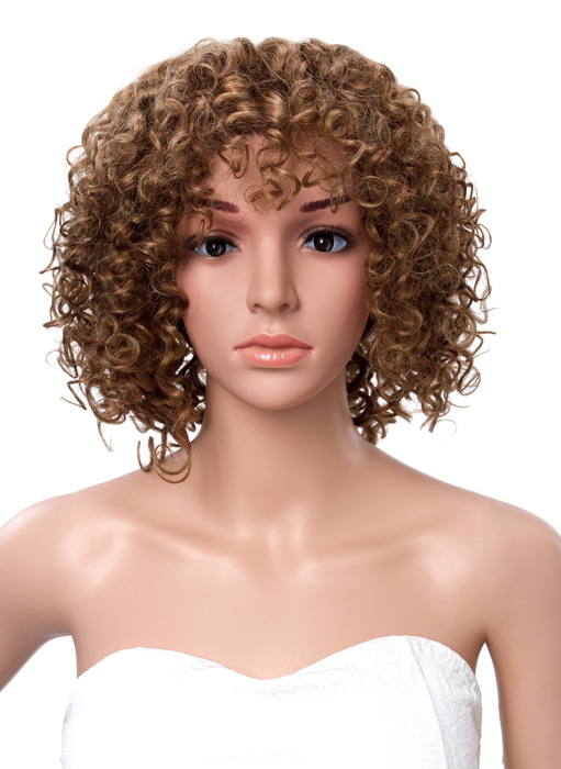 Afro American Kinky Curly Human Hair Lace Front Wigs 12 Inches