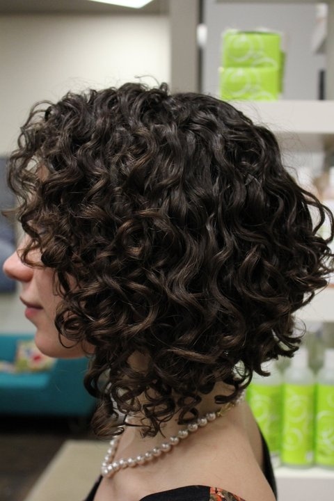 Curly Clip in Extension 100% Human Hair