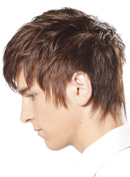 Handsome Cool Mens 100% Indian Human Hair Straight Full Lace Wig
