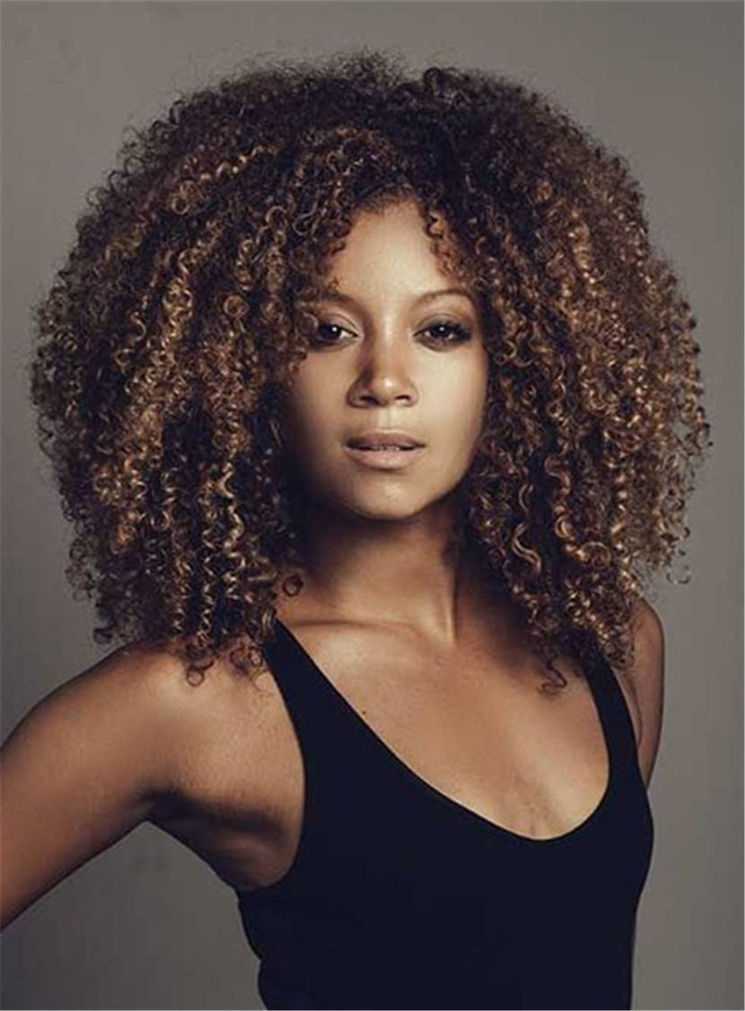 Medium Graceful Curly Kinky Synthetic Hair Lace Front African American Women Wig 14 Inches