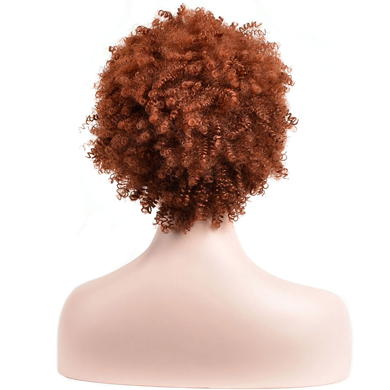 Brown Kinky Curly Short Synthetic Hair Capless Wigs