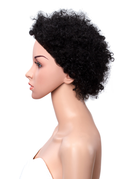 Short Kinky Curly 100% Human Hair Lace Front Wigs