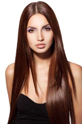 Super Smooth Long Silky Straight Chestnut Brown Lace Front Wig Synthetic Hair 22 Inches