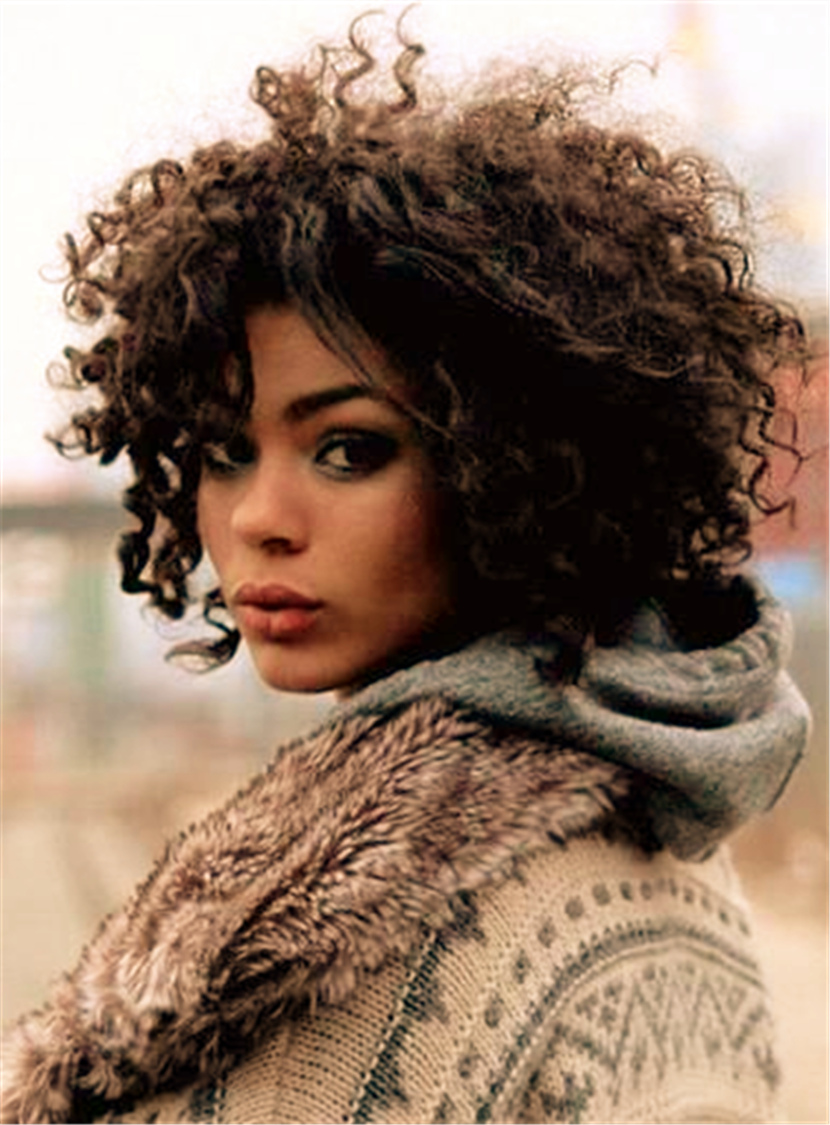 Winter Style Kinky Curly Wigs Synthetic Hair Lace Front Cap African American Women Wigs12 Inches
