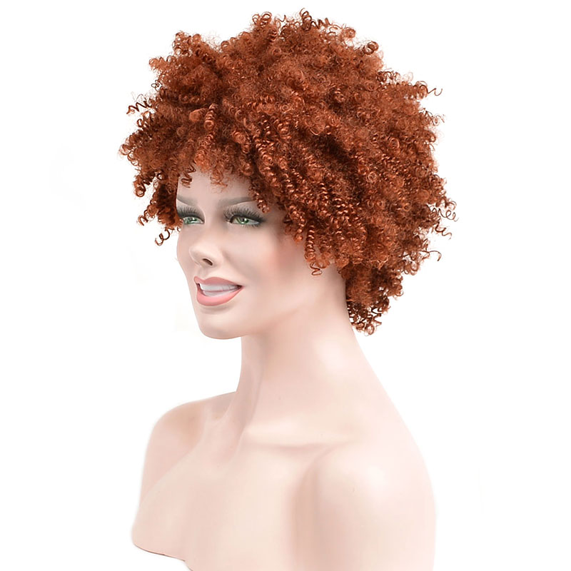 Brown Kinky Curly Short Synthetic Hair Capless Wigs